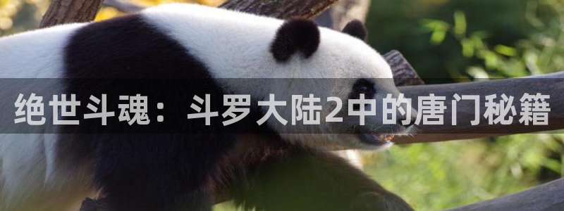 天堂漫画jmcomic2免费